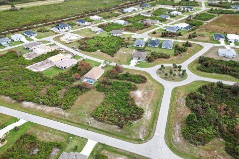 Land in Rotonda, Florida № 2161117 - photo 9