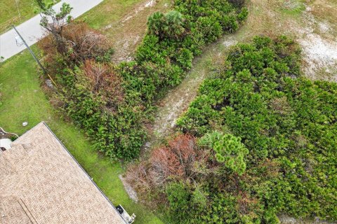 Land in Rotonda, Florida № 2161117 - photo 12