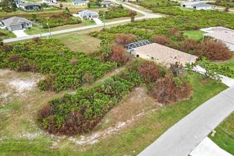 Land in Rotonda, Florida № 2161117 - photo 14