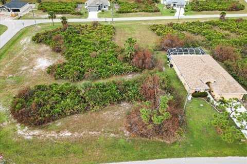 Land in Rotonda, Florida № 2161117 - photo 19