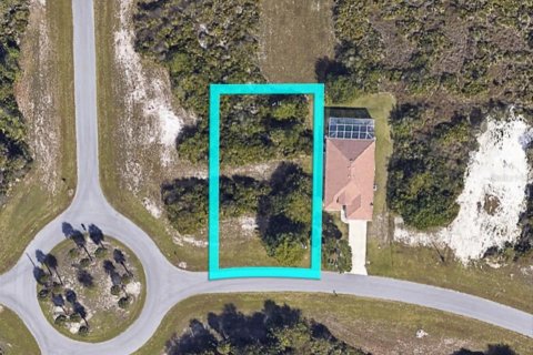 Land in Rotonda, Florida № 2161117 - photo 21