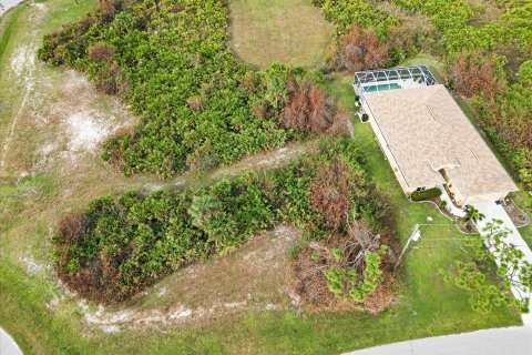 Land in Rotonda, Florida № 2161117 - photo 4
