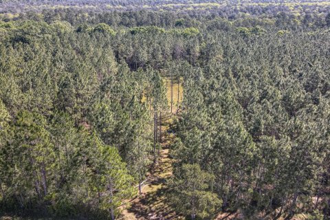 Land in De Funiak Springs, Florida № 560633 - photo 1