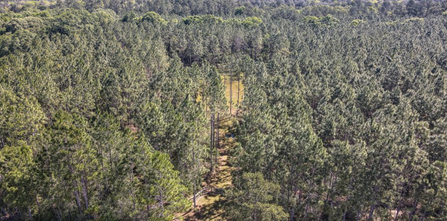 Land in De Funiak Springs, Florida № 560633