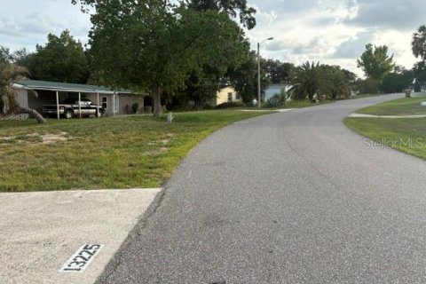 Appartement à louer à Minneola, Floride: 2 chambres, 100.33 m2 № 2134172 - photo 24
