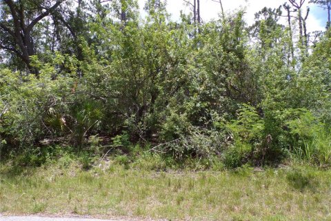 Terreno en Port Charlotte, Florida № 2198318