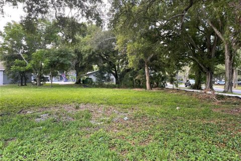 Terrain à Clearwater, Floride № 2149846