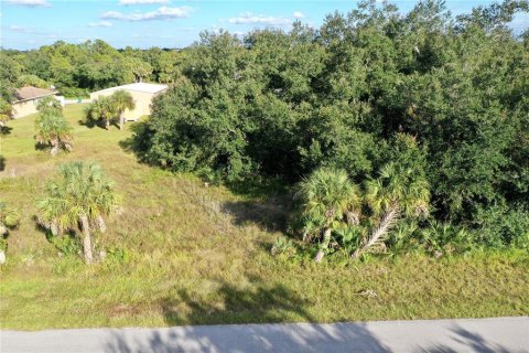 Land in Port Charlotte, Florida № 2164477