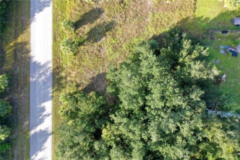 Land in Port Charlotte, Florida № 2164477 - photo 2