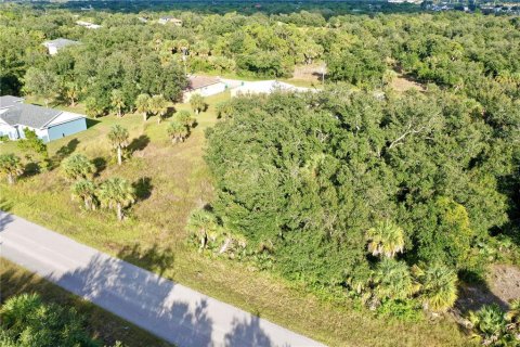 Land in Port Charlotte, Florida № 2164477 - photo 4