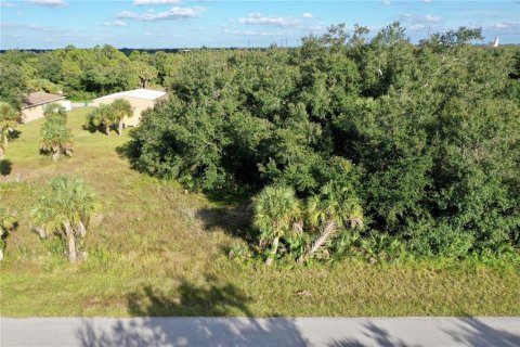 Land in Port Charlotte, Florida № 2164477 - photo 25