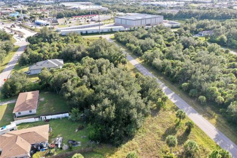 Land in Port Charlotte, Florida № 2164477 - photo 7
