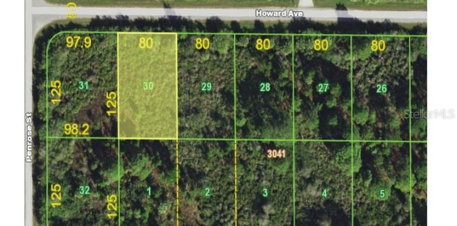 Land in Port Charlotte, Florida № 2228684