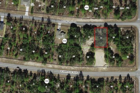 Land in Dunnellon, Florida № 2162763
