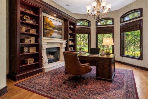 Villa ou maison à vendre à Tampa, Floride: 4 chambres, 563.17 m2 № 2134982 - photo 15