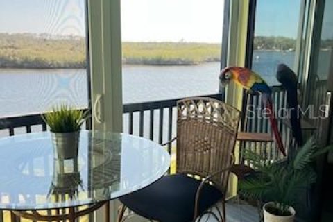 Copropriété à louer à Port Richey, Floride: 2 chambres, 110.37 m2 № 2100393 - photo 2