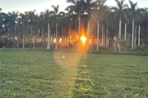 Immobilier commercial à vendre à Miami, Floride № 1953288 - photo 2