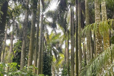 Immobilier commercial à vendre à Miami, Floride № 1953288 - photo 3