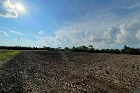 Immobilier commercial à vendre à Miami, Floride № 1953288 - photo 5