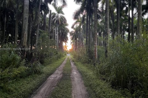 Immobilier commercial à vendre à Miami, Floride № 1953288 - photo 6