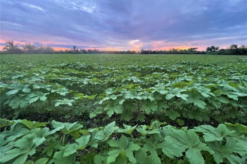 Immobilier commercial à vendre à Miami, Floride № 1953288 - photo 16