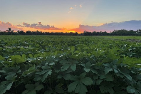 Immobilier commercial à vendre à Miami, Floride № 1953288 - photo 4