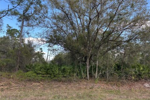 Terreno en Port Charlotte, Florida № 2197157