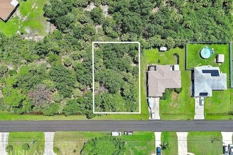 Terreno en venta en Englewood, Florida № 2164997 - foto 2