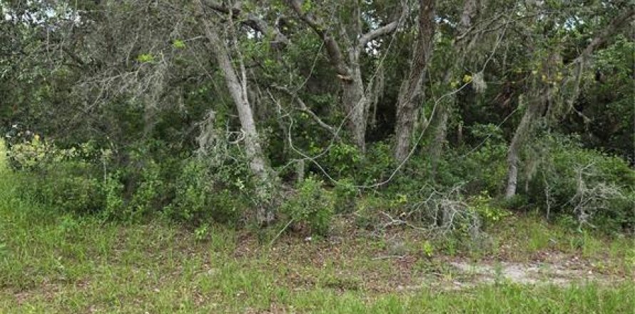 Land in Poinciana, Florida № 1266570