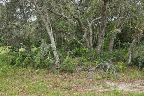 Land in Poinciana, Florida № 1266570 - photo 2