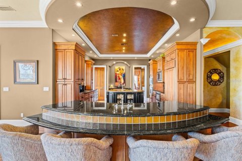 Villa ou maison à vendre à Gulfport, Floride: 4 chambres, 489.97 m2 № 2218346 - photo 25