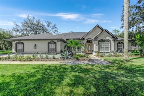 Villa ou maison à vendre à Riverview, Floride: 4 chambres, 235.04 m2 № 1916324 - photo 1