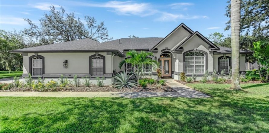 Villa ou maison à Riverview, Floride 4 chambres, 235.04 m2 № 1916324