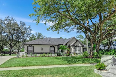 Villa ou maison à vendre à Riverview, Floride: 4 chambres, 235.04 m2 № 1916324 - photo 2