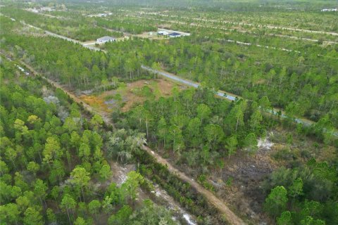 Land in Indian lake estates, Florida № 2162398 - photo 22