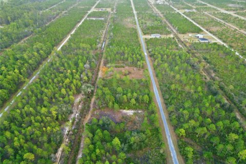 Land in Indian lake estates, Florida № 2162398 - photo 9