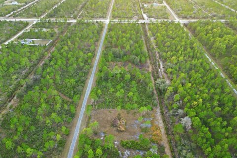 Land in Indian lake estates, Florida № 2162398 - photo 5