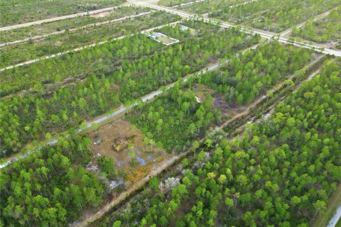 Land in Indian lake estates, Florida № 2162398 - photo 6