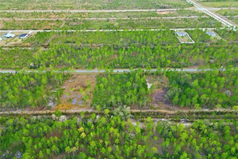 Land in Indian lake estates, Florida № 2162398 - photo 7