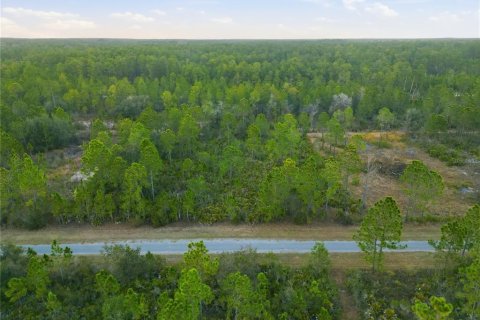 Land in Indian lake estates, Florida № 2162398 - photo 24