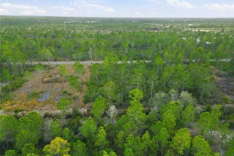 Land in Indian lake estates, Florida № 2162398 - photo 27