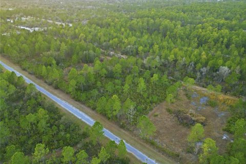 Land in Indian lake estates, Florida № 2162398 - photo 18