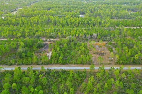 Land in Indian lake estates, Florida № 2162398 - photo 11