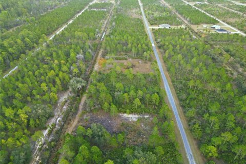 Land in Indian lake estates, Florida № 2162398 - photo 16