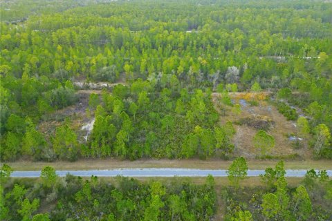Land in Indian lake estates, Florida № 2162398 - photo 17