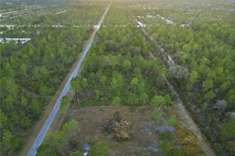 Land in Indian lake estates, Florida № 2162398 - photo 19