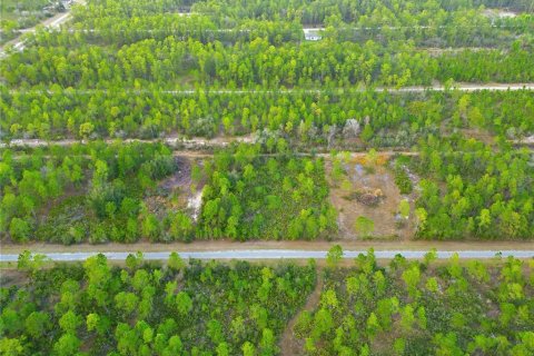 Land in Indian lake estates, Florida № 2162398 - photo 2