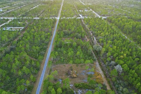 Land in Indian lake estates, Florida № 2162398 - photo 12