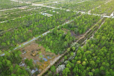 Land in Indian lake estates, Florida № 2162398 - photo 13