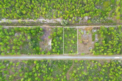 Land in Indian lake estates, Florida № 2162398